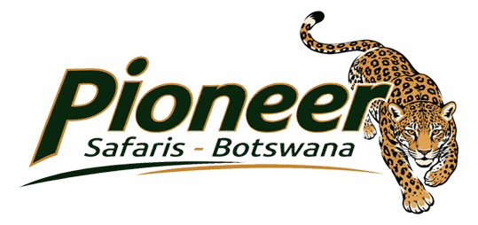 Pioneer Safari